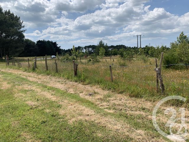 terrain - ST HILAIRE DE RIEZ - 85