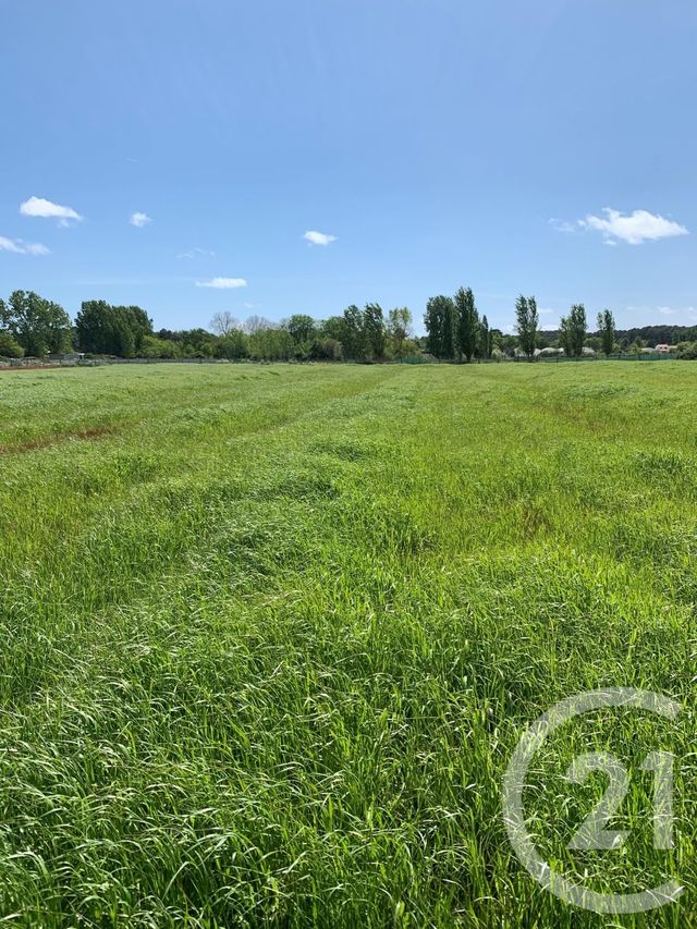terrain - ST HILAIRE DE RIEZ - 85