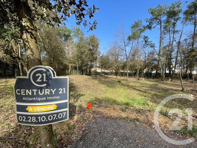 terrain à vendre - 835.0 m2 - ST HILAIRE DE RIEZ - 85 - PAYS-DE-LOIRE - Century 21 Atlantique Immo