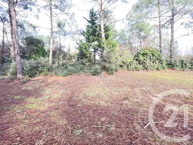 terrain à vendre - 515.0 m2 - ST JEAN DE MONTS - 85 - PAYS-DE-LOIRE - Century 21 Atlantique Immo