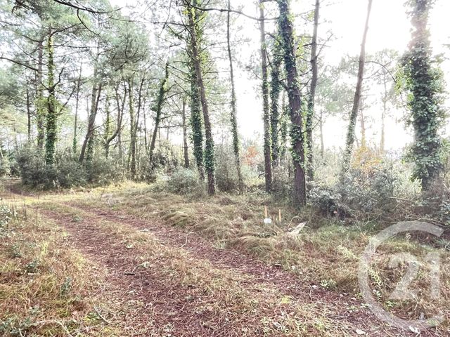 terrain à vendre - 515.0 m2 - ST JEAN DE MONTS - 85 - PAYS-DE-LOIRE - Century 21 Atlantique Immo