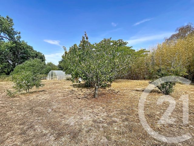 maison à vendre - 3 pièces - 87.16 m2 - ST HILAIRE DE RIEZ - 85 - PAYS-DE-LOIRE - Century 21 Atlantique Immo