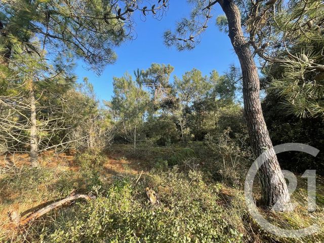 terrain à vendre - 1100.0 m2 - ST HILAIRE DE RIEZ - 85 - PAYS-DE-LOIRE - Century 21 Atlantique Immo