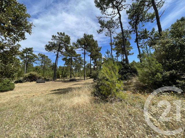 Appartement F1 à vendre - 1 pièce - 19.0 m2 - ST JEAN DE MONTS - 85 - PAYS-DE-LOIRE - Century 21 Atlantique Immo