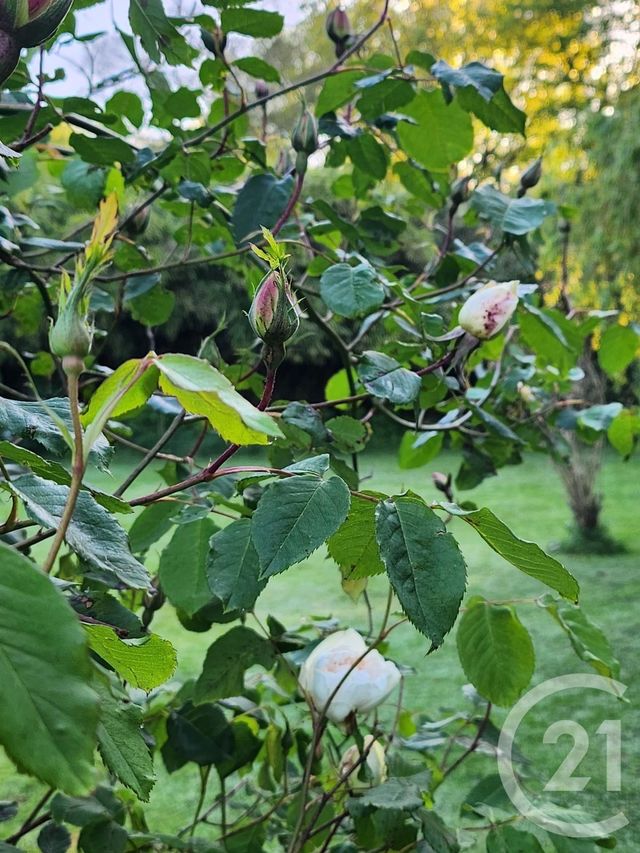 maison à vendre - 9 pièces - 235.0 m2 - ST REVEREND - 85 - PAYS-DE-LOIRE - Century 21 Atlantique Immo