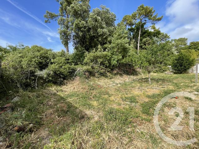 Afficher la photo en grand maison à vendre - 4 pièces - 84.26 m2 - ST HILAIRE DE RIEZ - 85 - PAYS-DE-LOIRE - Century 21 Atlantique Immo