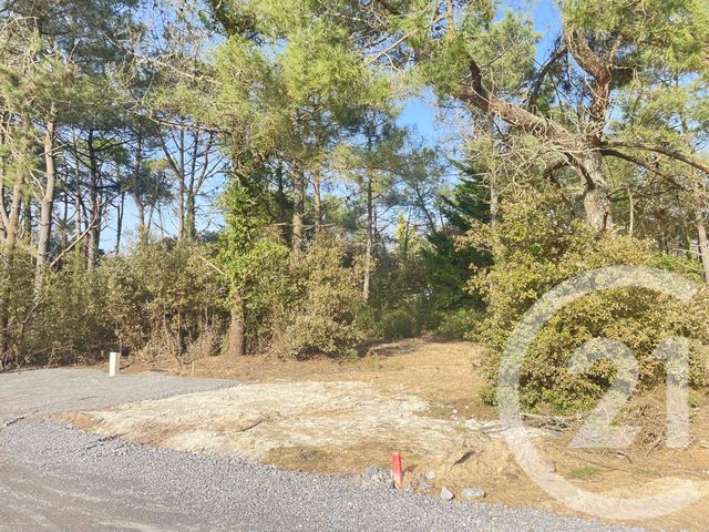 terrain - ST JEAN DE MONTS - 85