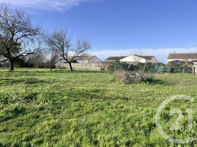 terrain à vendre - 721.0 m2 - NOTRE DAME DE RIEZ - 85 - PAYS-DE-LOIRE - Century 21 Atlantique Immo