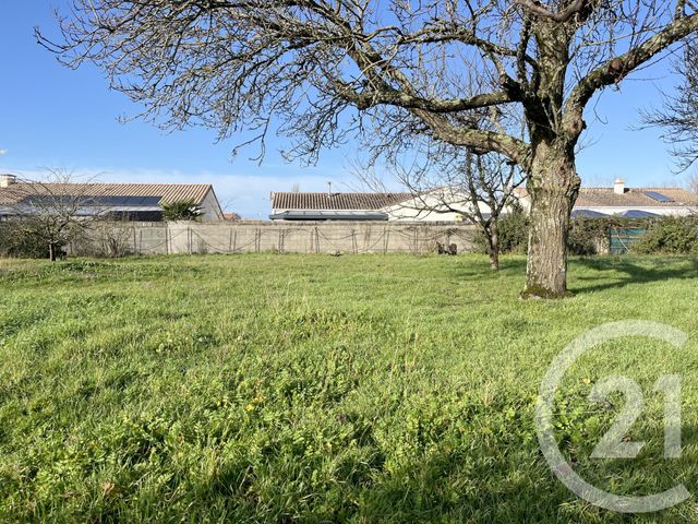 terrain à vendre - 549.0 m2 - NOTRE DAME DE RIEZ - 85 - PAYS-DE-LOIRE - Century 21 Atlantique Immo