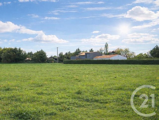 terrain - COMMEQUIERS - 85