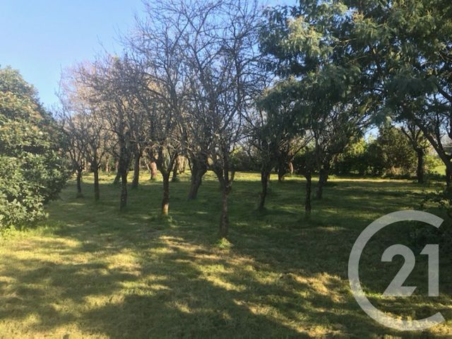 maison à vendre - 5 pièces - 120.0 m2 - ST REVEREND - 85 - PAYS-DE-LOIRE - Century 21 Atlantique Immo