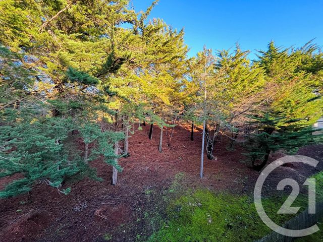 Appartement T2 à vendre - 2 pièces - 41.28 m2 - ST HILAIRE DE RIEZ - 85 - PAYS-DE-LOIRE - Century 21 Atlantique Immo