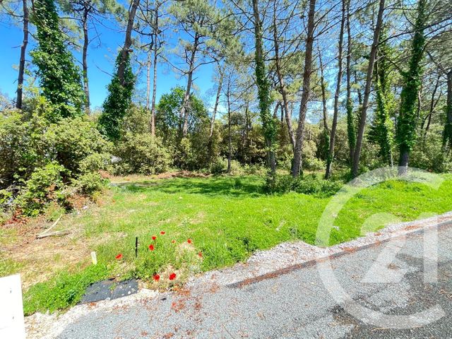 terrain à vendre - 553.0 m2 - ST JEAN DE MONTS - 85 - PAYS-DE-LOIRE - Century 21 Atlantique Immo