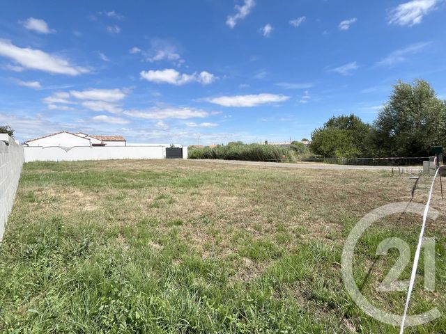 terrain - ST HILAIRE DE RIEZ - 85