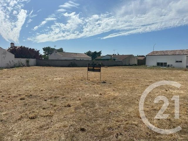 terrain - ST HILAIRE DE RIEZ - 85