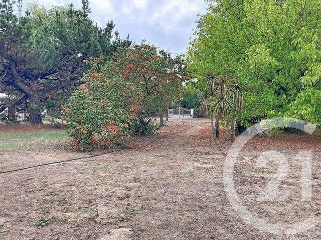maison à vendre - 5 pièces - 190.0 m2 - ST HILAIRE DE RIEZ - 85 - PAYS-DE-LOIRE - Century 21 Atlantique Immo