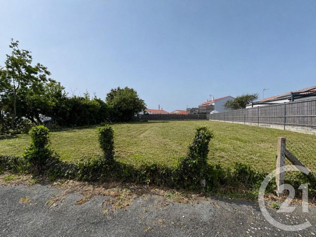 terrain - ST HILAIRE DE RIEZ - 85